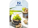       Norven () 180    .   