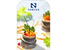       Norven () 180    .   