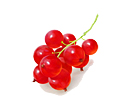    Prycarpat Foods,     .   