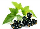    Prycarpat Foods,     .   