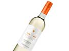  I Castelli Pinot Grigio   0.75.   