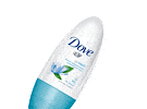  DOVE    () 50    .   