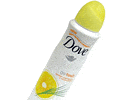  DOVE    () 150    .   
