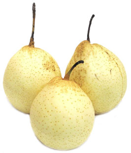   ,     .   