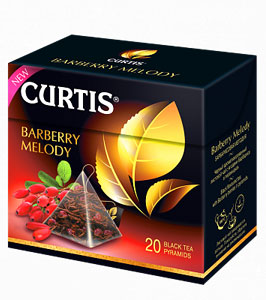  Curtis  Barberry Melody (ʸ)  20*1.8    .   