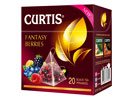  Curtis  Fantasy Berries (ʸ)  20*1.8.   
