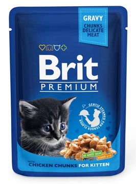    Brit  Kitten   () 100    .   