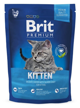    Brit  Kitten    () 300    .   